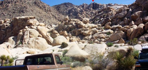 Joshua Tree Wonderland of Rocks